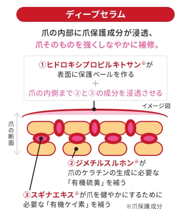 Dr Nailディープセラム